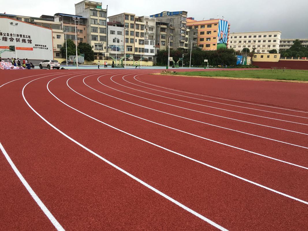鹤壁市EPDM颗粒塑胶跑道材料 - 价格